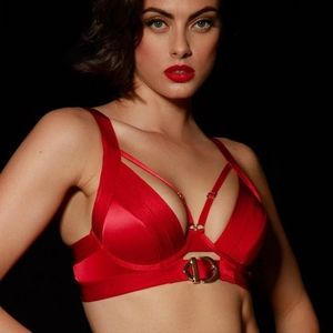 hoheybirdette gia bra size 32 D new never use rare piece